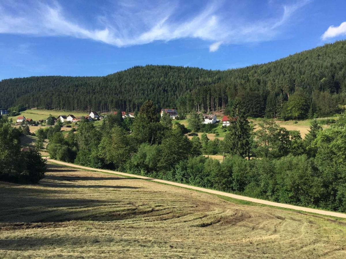 Ferienwohnung Herbert Best Baiersbronn Eksteriør billede